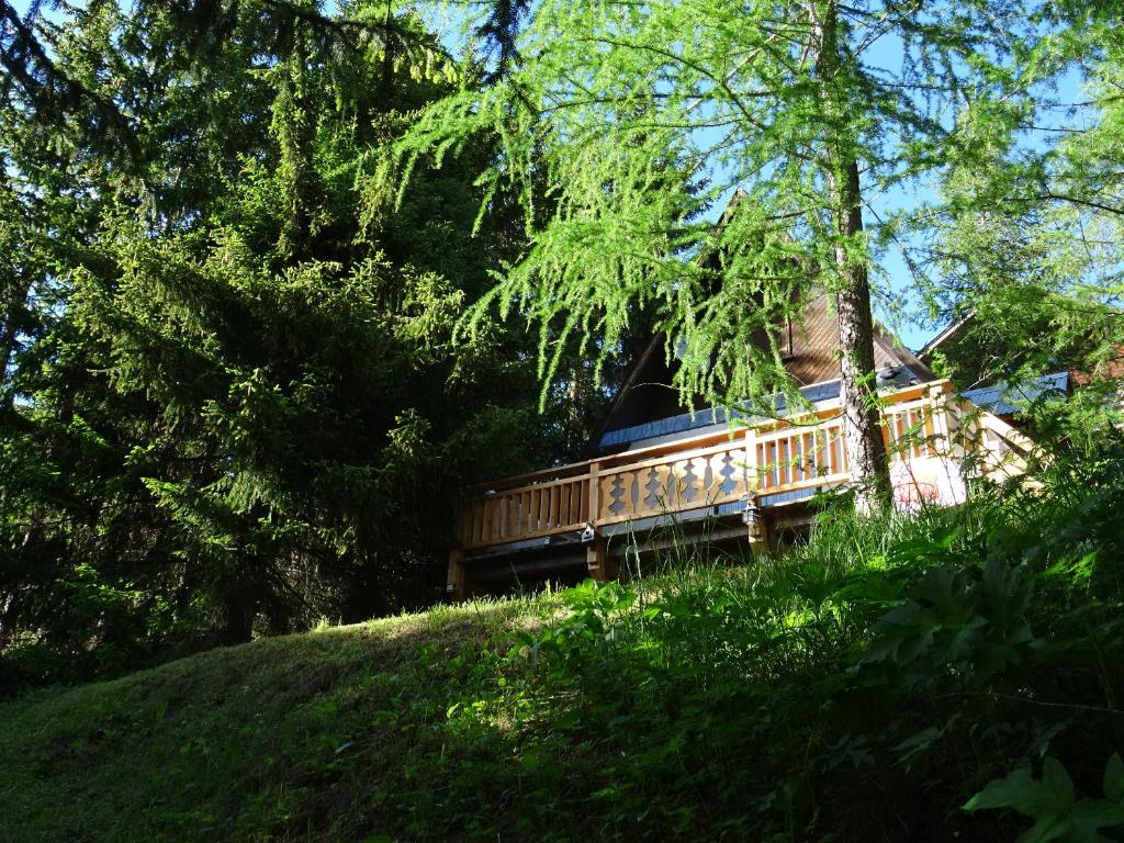 ein kleiner Zug, der mit Bäumen einen Hügel hinunterfährt in der Unterkunft Chalet La Foux d Allos centre Station in La Foux