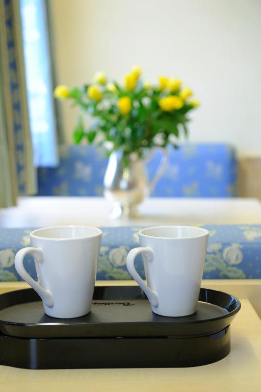 Príslušenstvo na prípravu kávy alebo čaju v ubytovaní Hotel Scherer