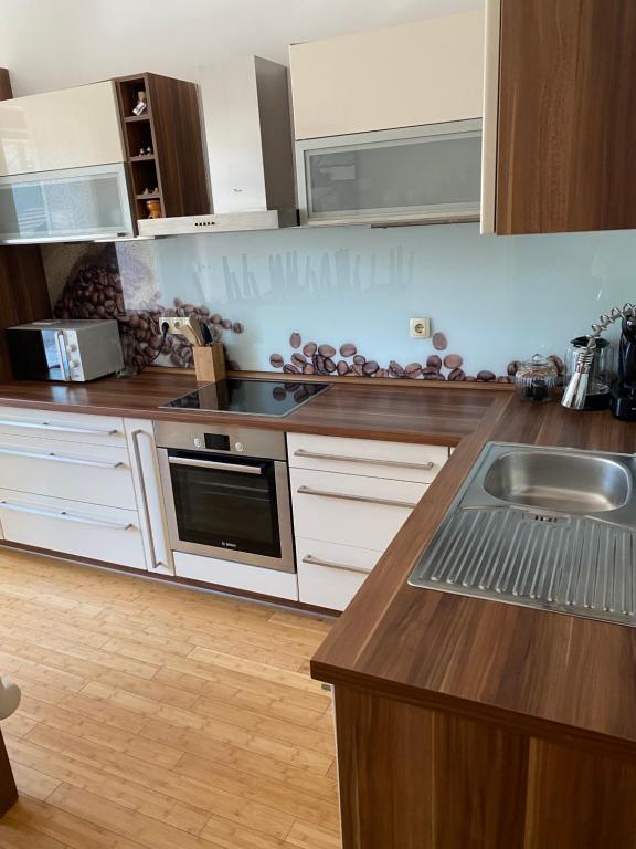 Kuchyň nebo kuchyňský kout v ubytování Apartmaji Anže Kranjska Gora