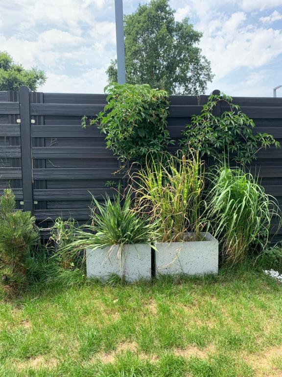 Vonkajšia záhrada v ubytovaní Garden Apartment Self Check-in - Bezkluczowy Dostęp w 10 minut o każdej porze