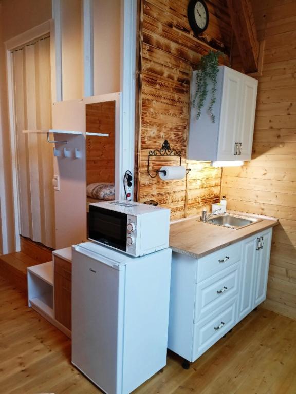 Kuchyň nebo kuchyňský kout v ubytování Chalupa pod Volarským rondelem