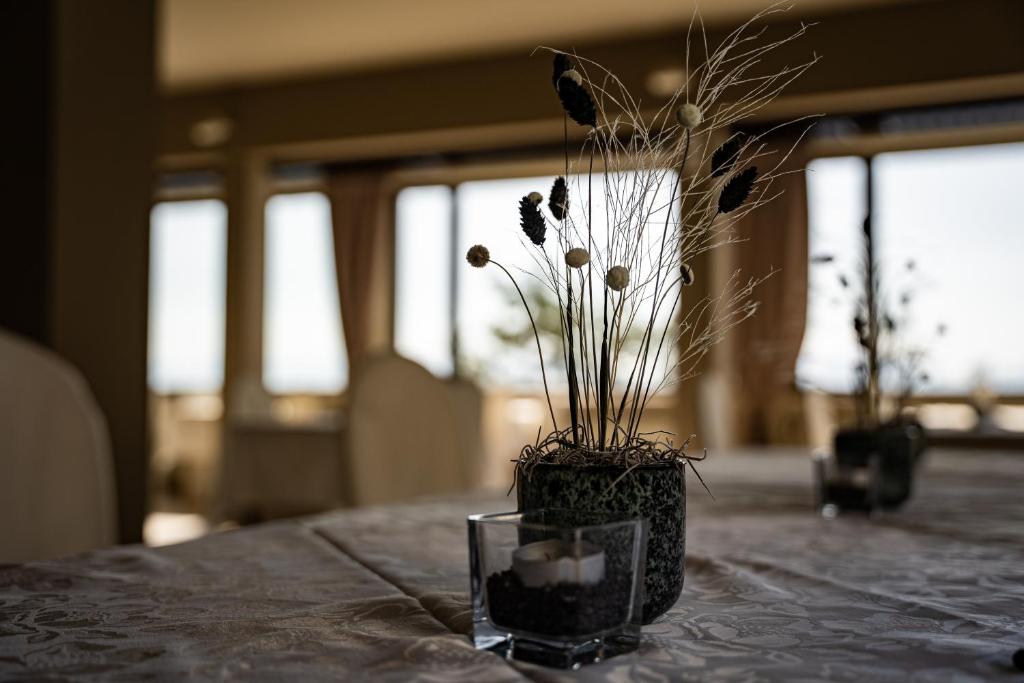 Kép PanoramaHotel Penegal szállásáról Mendolában a galériában