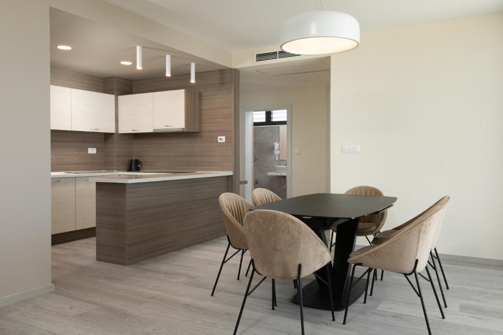 Kuchyň nebo kuchyňský kout v ubytování Hotel Antonio
