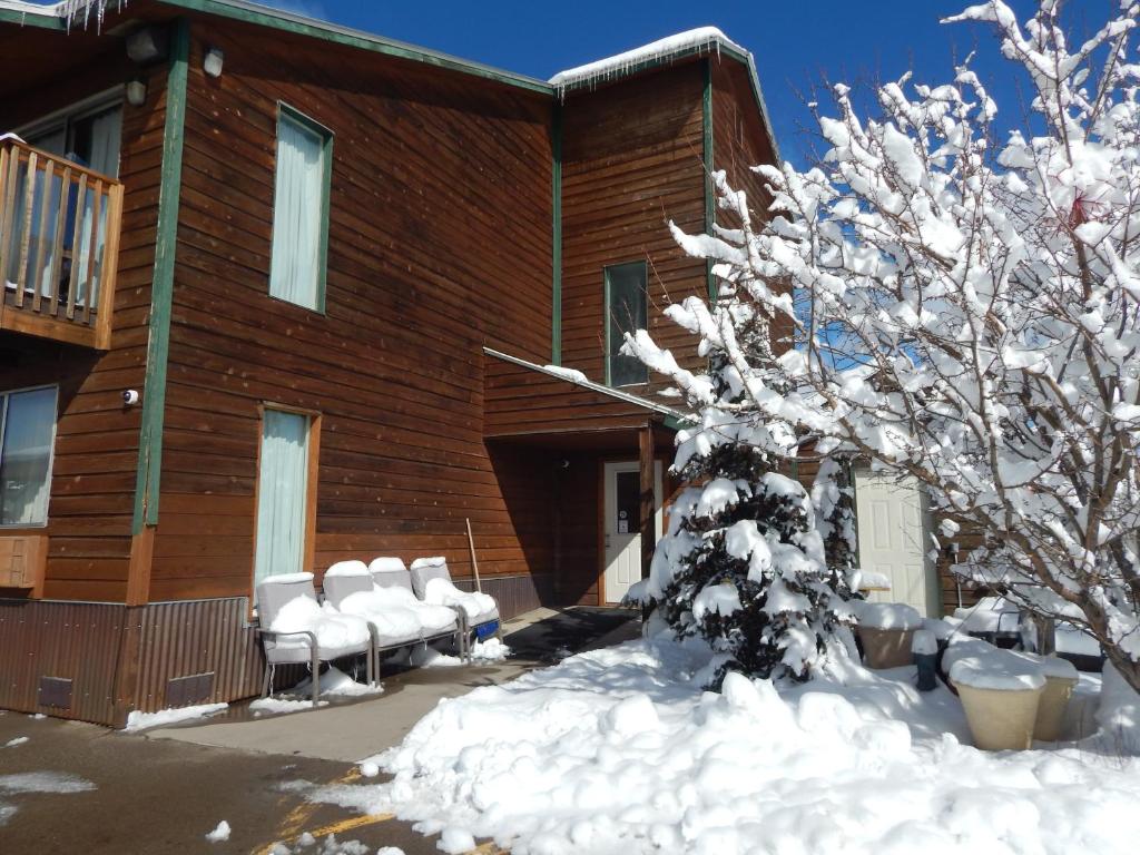 a house with white chairs and a snow covered tree at Alpine Inn in Pagosa Springs