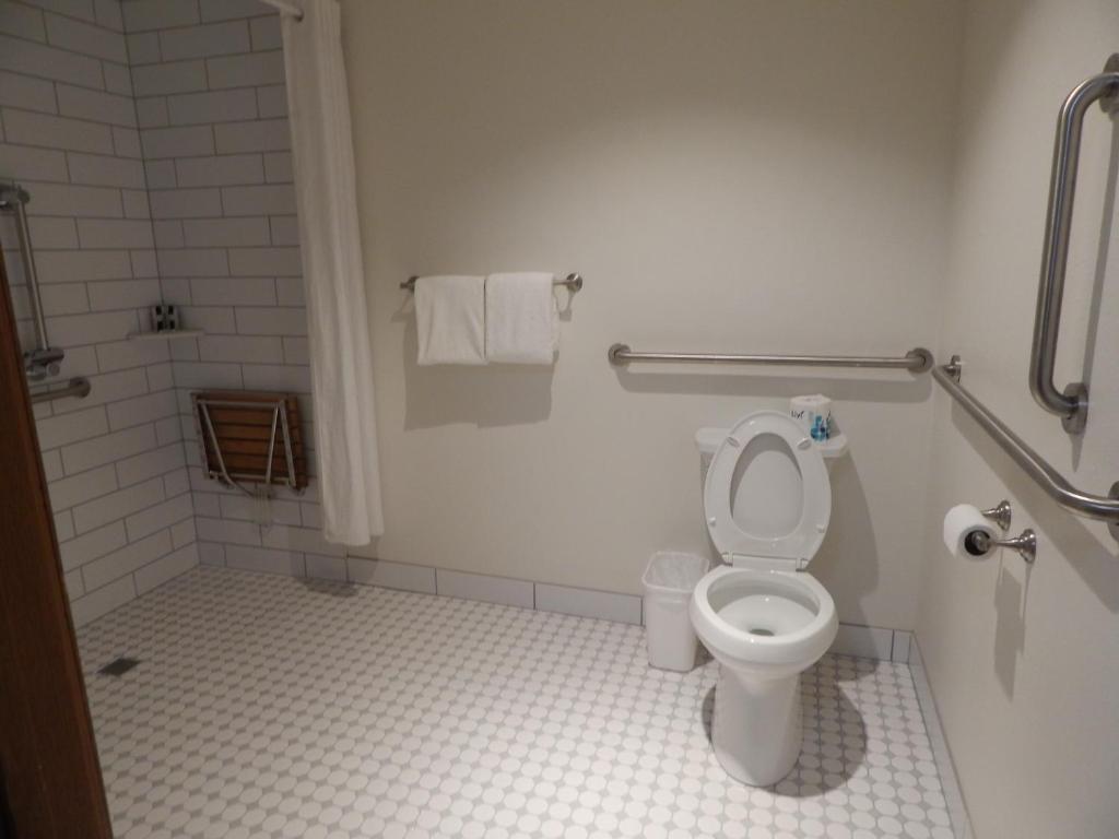 a bathroom with a toilet and a shower at Alpine Inn in Pagosa Springs
