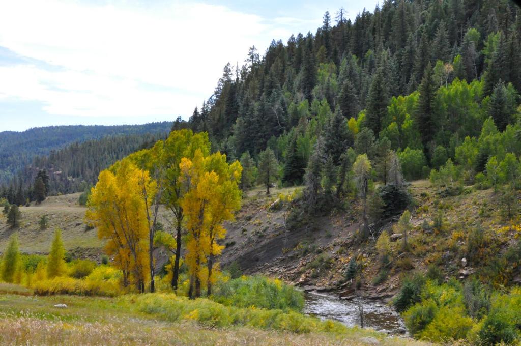 a river in a field with trees and a mountain at Alpine Inn in Pagosa Springs