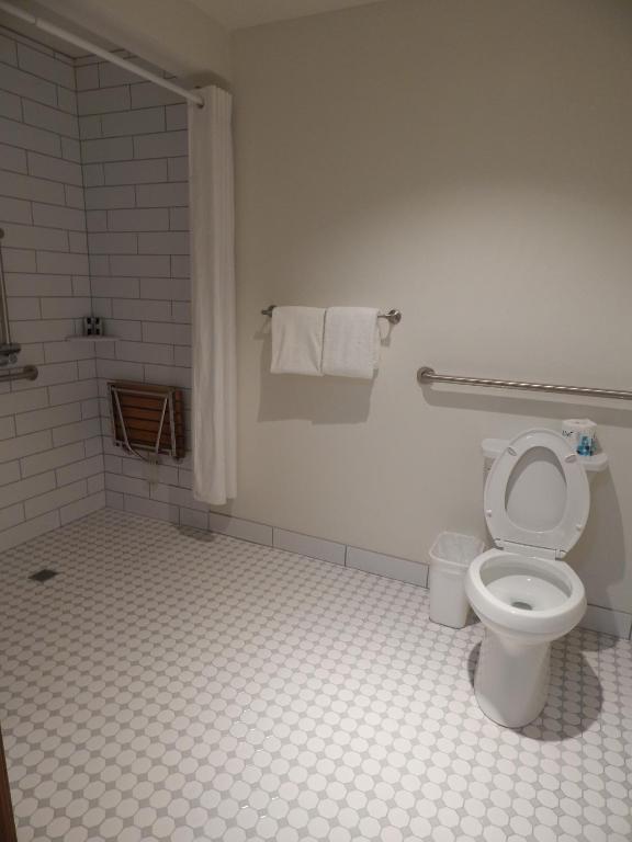a bathroom with a toilet and a shower with towels at Alpine Inn in Pagosa Springs