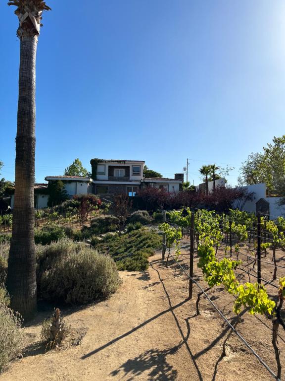 Casa Marieta Espacio Entero