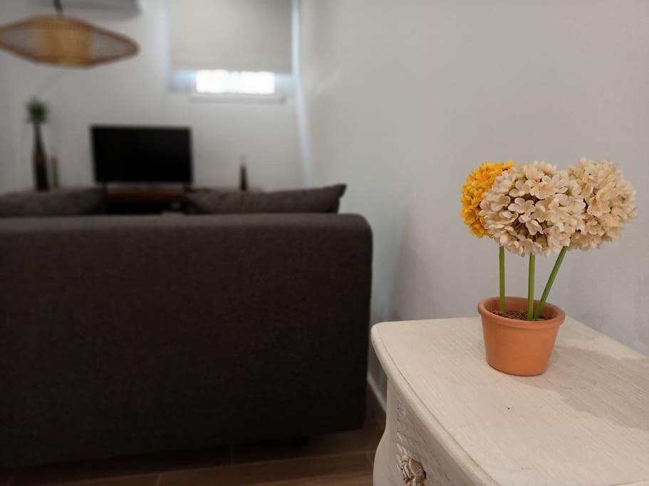 TV a/nebo společenská místnost v ubytování VILLA FALCONERA APARTAMENTS, GANDIA a las faldas de la montaña