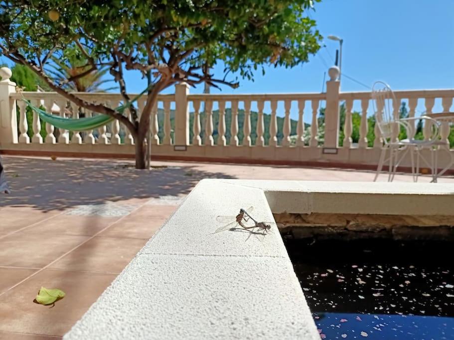 Balkón nebo terasa v ubytování VILLA FALCONERA APARTAMENTS, GANDIA a las faldas de la montaña