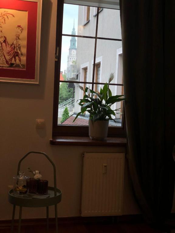 a window with a potted plant on a window sill at Apartamenty pod Jasną Górą in Częstochowa
