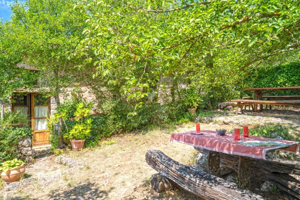 Vonkajšia záhrada v ubytovaní Podere Lorena