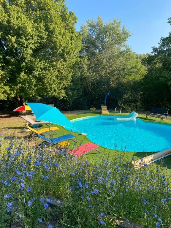 ein Pool mit zwei Sonnenschirmen in einem Park in der Unterkunft Casa Ludese in Salernes