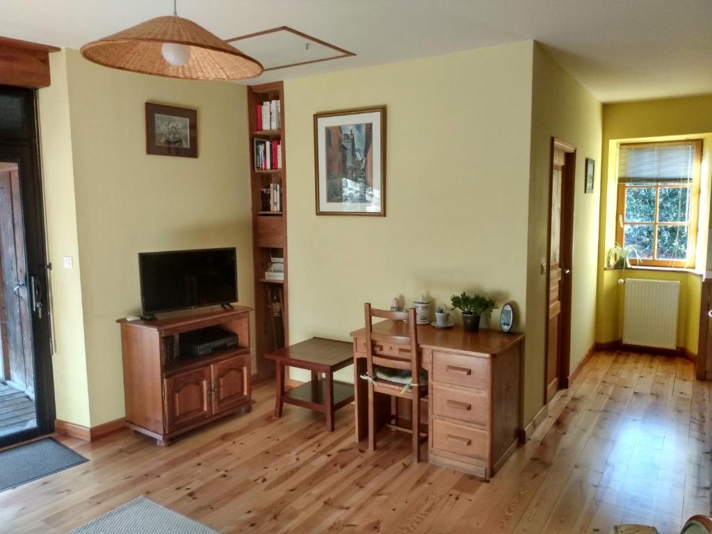 Televízia a/alebo spoločenská miestnosť v ubytovaní Studio 45m2, à la campagne, à 15 mns du Puy en Velay