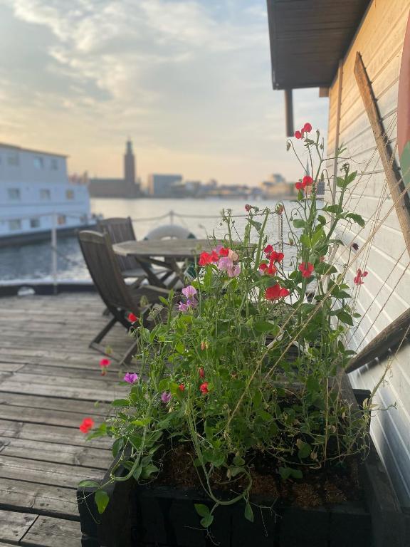 a planter with flowers on a deck with a table at Den Röda Båten in Stockholm