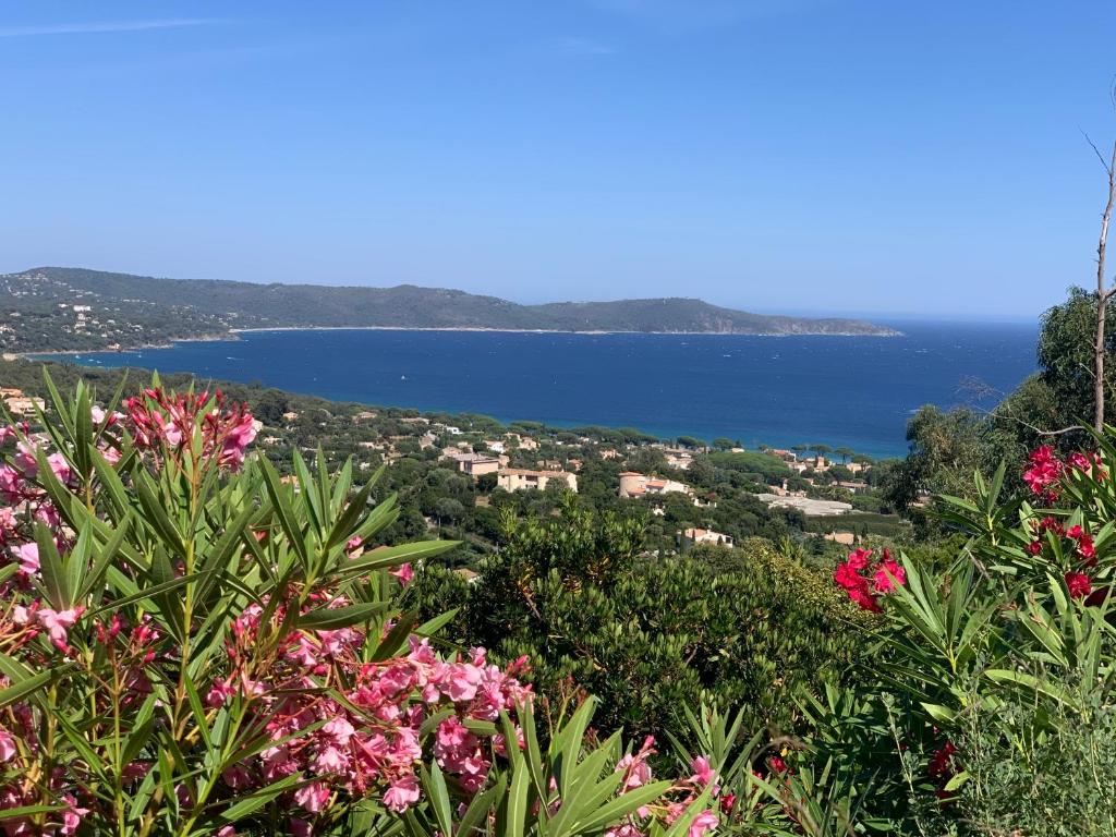 a view of the ocean from a hill with pink flowers at Villa Cacharelle Vue Mer in Cavalaire-sur-Mer