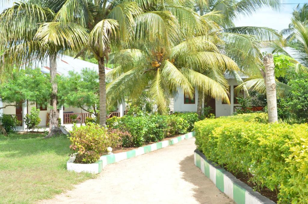 a walkway in front of a house with palm trees at Bagamoyo Spice Villa in Nungwi