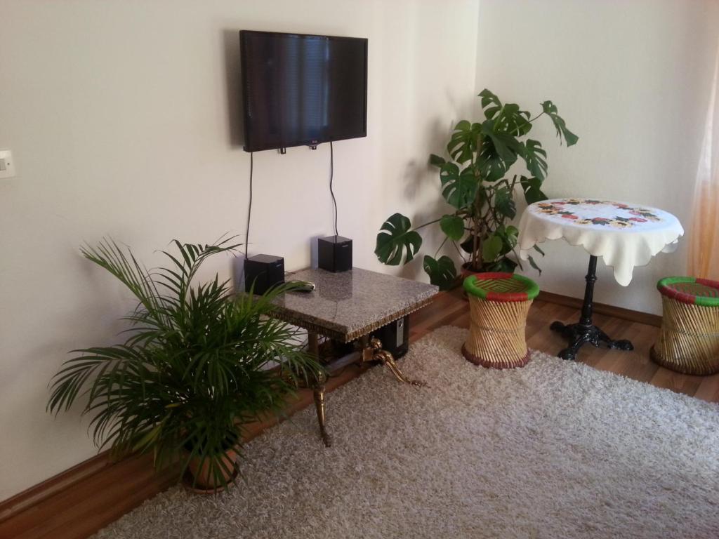 TV a/nebo společenská místnost v ubytování Guest House Goa Mostar