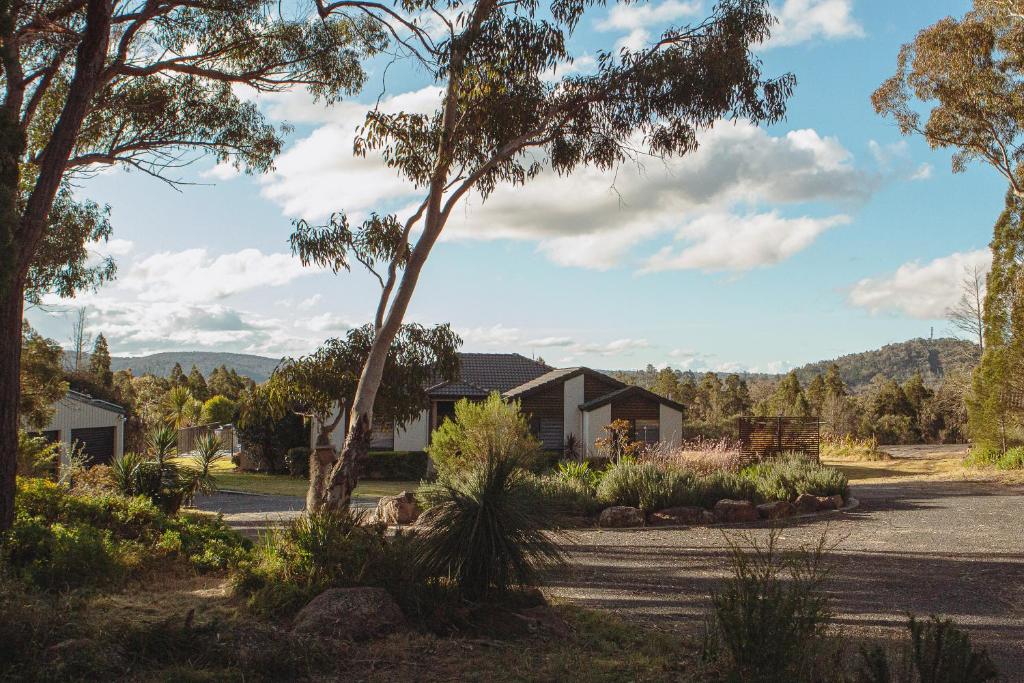 50 HALE HAVEN, Stanthorpe (updated prices 2024)