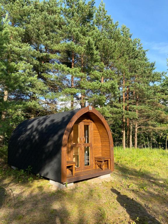 a small wooden cabin in a field with trees at Prie Balto ežero plius in Zarasai