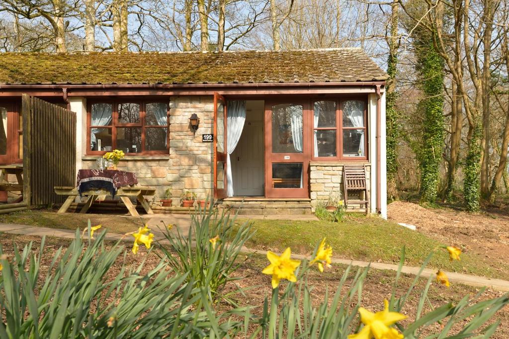 Gallery image of Woodland Holiday Cottage, near St Ives, Holiday Park location with swimming pool in St Ives