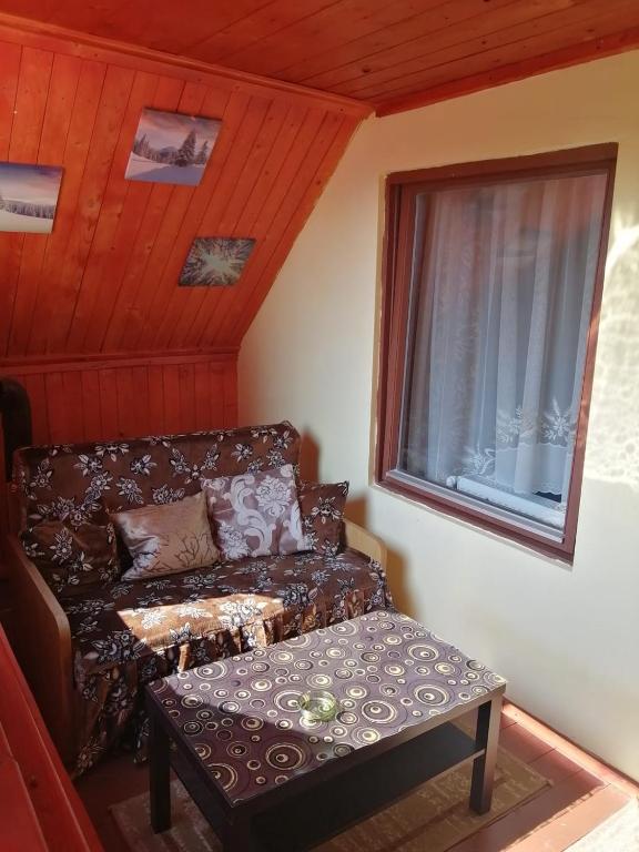 a living room with a couch and a window at Căsuța din pădure de la Câmpu lui Neag in Cîmpu lui Neag