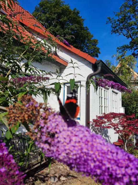 Fischerhaus Blankenese - ２ベッドルームのあるアパート