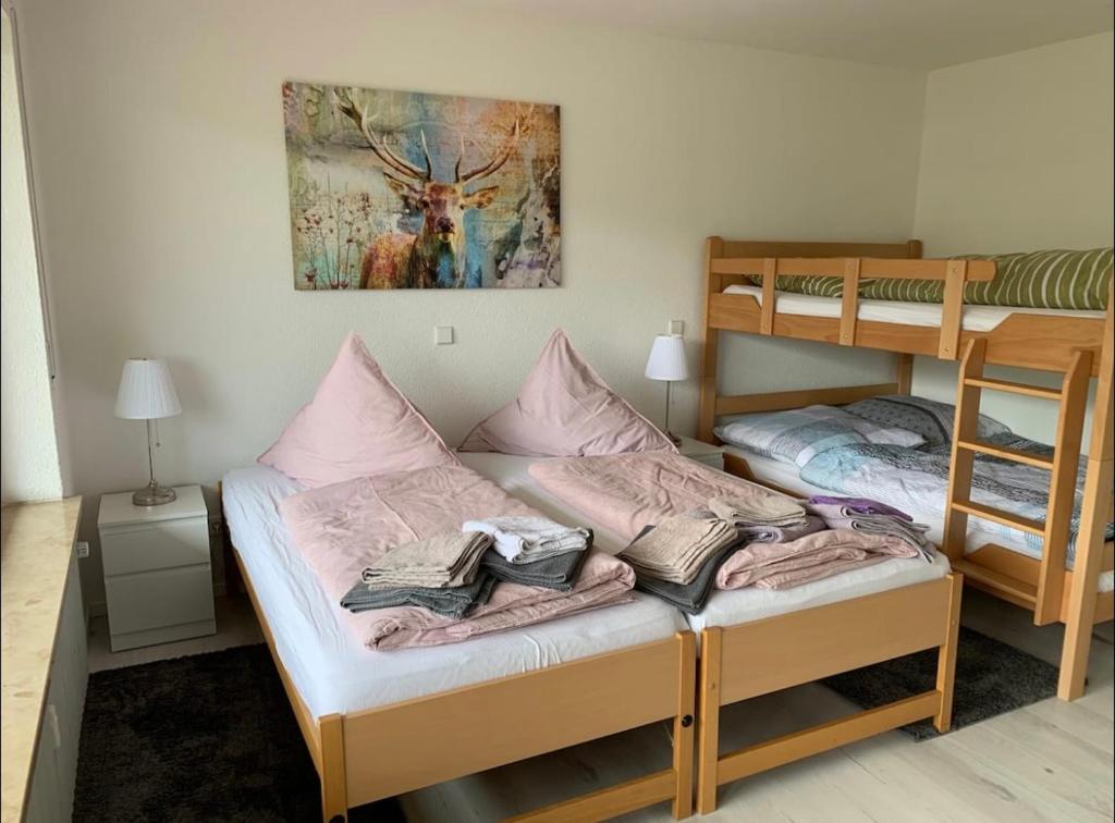 Двох'ярусне ліжко або двоярусні ліжка в номері Haus am Sonnenberg,Todtnauberg, Ferienwohnung 105, direkt am Skilift-Skipiste, Nähe Feldberg