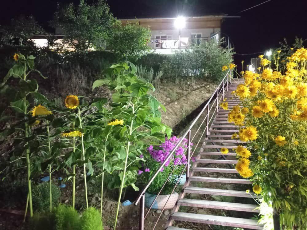 einen Garten mit einem Haufen Blumen und Treppen in der Unterkunft Абия in Tscholponata