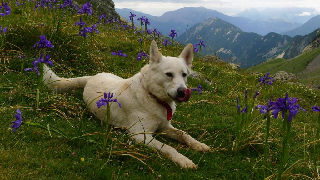 Apartamentos Casa Rivera - 17