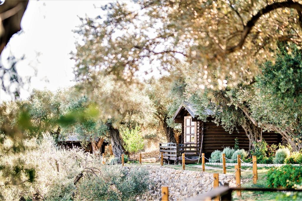 Zahrada ubytování Holiday Park Olive Tree