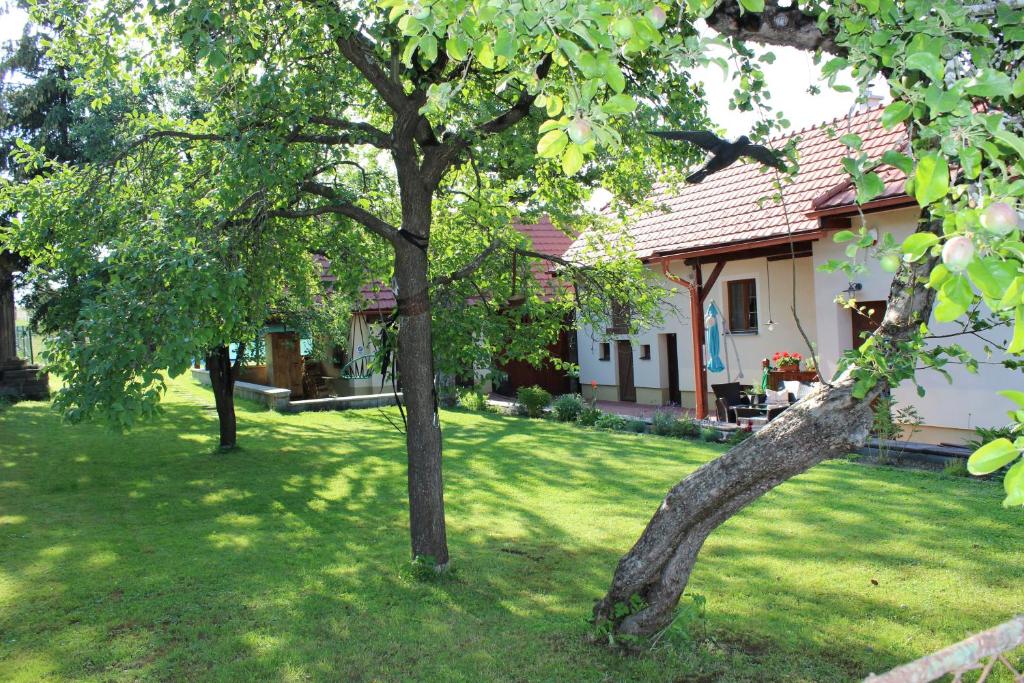 un patio con dos árboles y una casa en Dúbravská chalupa Nella, en Dúbrava