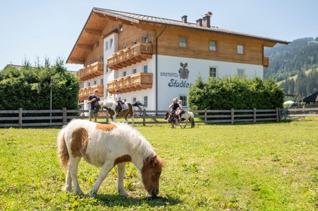 un pequeño poni pastando en un campo frente a un edificio en Aparthotel Stadler, en Flachau