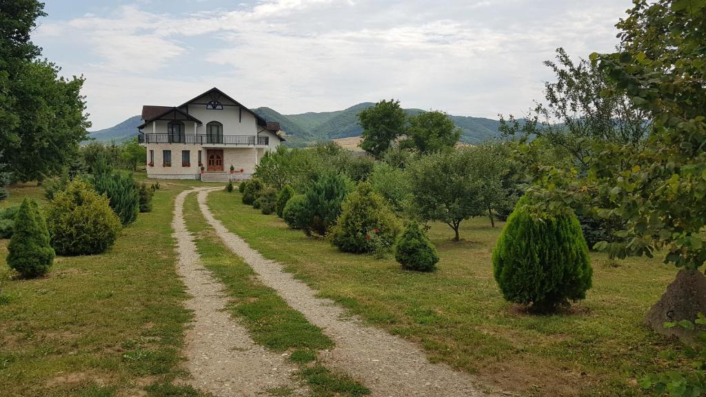 Příroda nedaleko penzionu