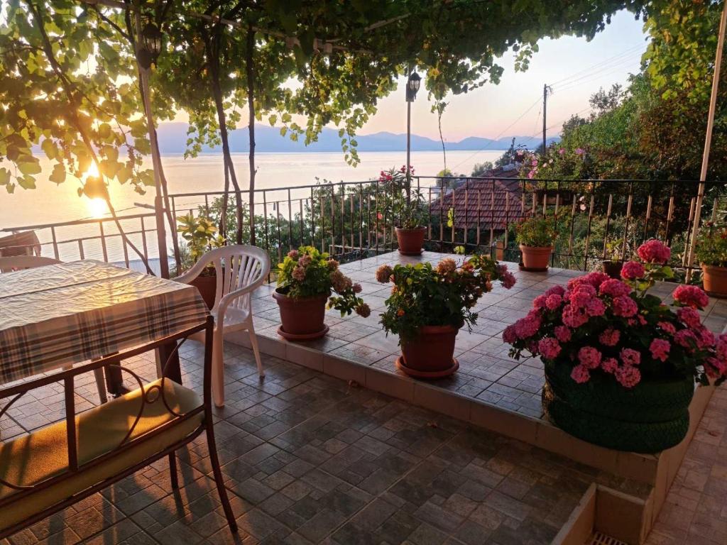a patio with potted plants and a table and chairs at Sonce Guest House in Ohrid