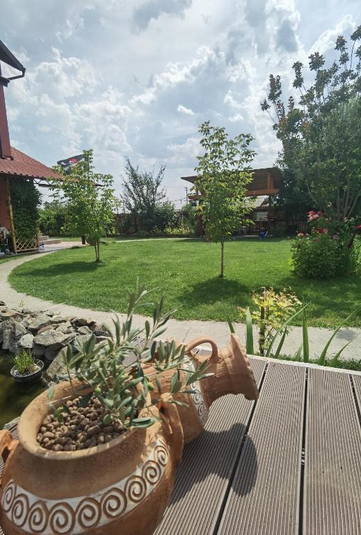 Zahrada ubytování Casa Reds
