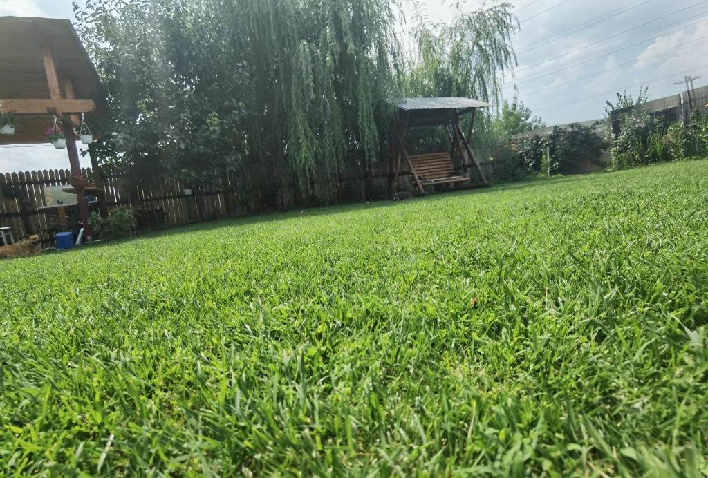 Zahrada ubytování Casa Reds
