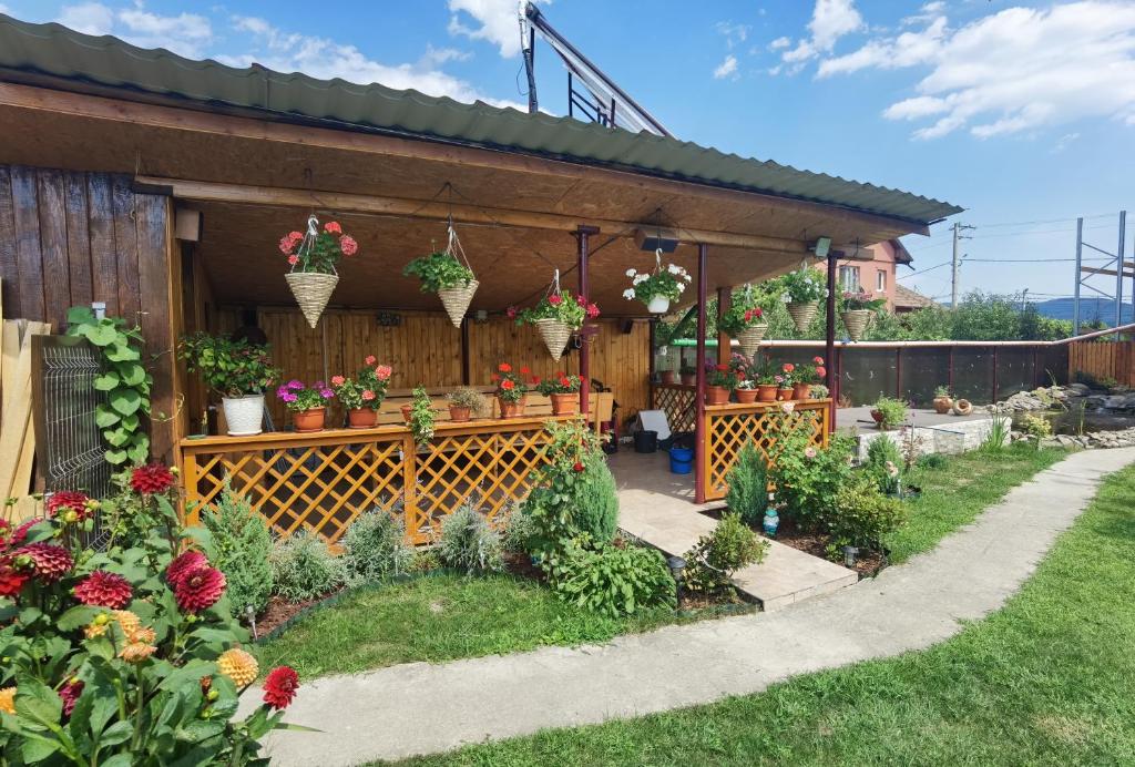 Zahrada ubytování Casa Reds