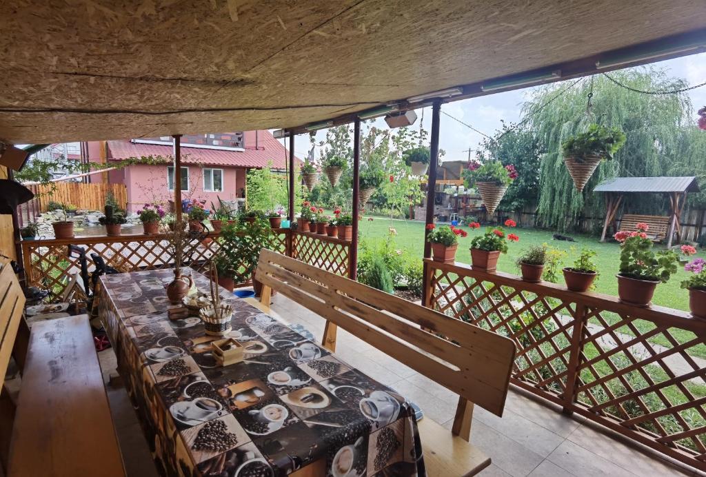 Zahrada ubytování Casa Reds