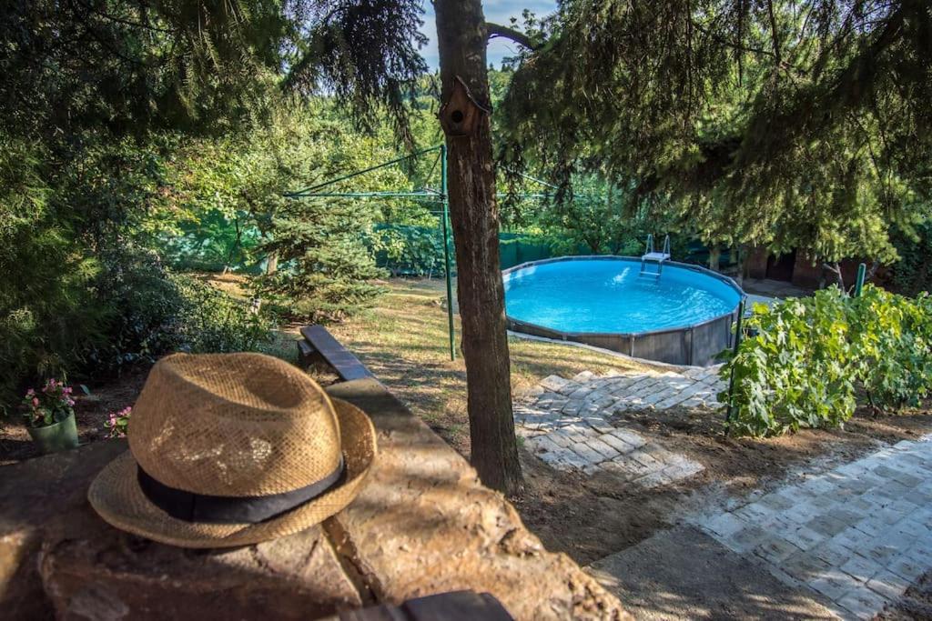 a hat sitting on a bench next to a swimming pool at Happy house in Velika Remeta
