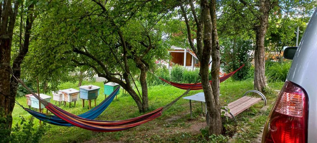 Zahrada ubytování Bees Guesthouse