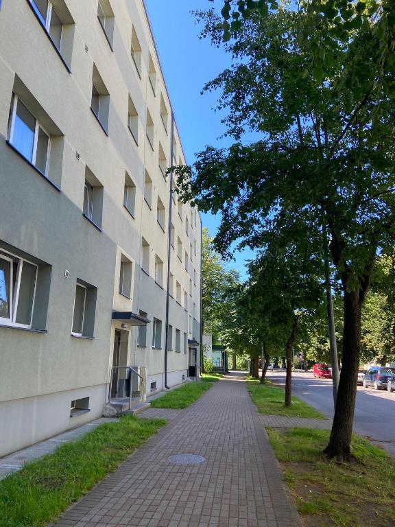 a brick sidewalk next to a building with a tree at WILLOW apartamenti in Liepāja