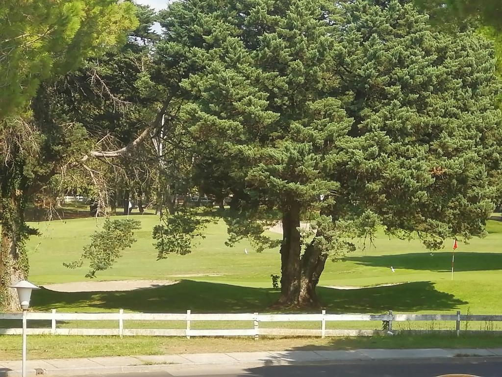 Golf pri apartmáne alebo okolí