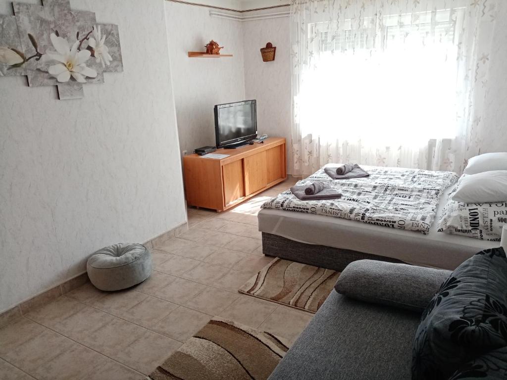 Televízia a/alebo spoločenská miestnosť v ubytovaní Magnólia Apartman Zalakaros