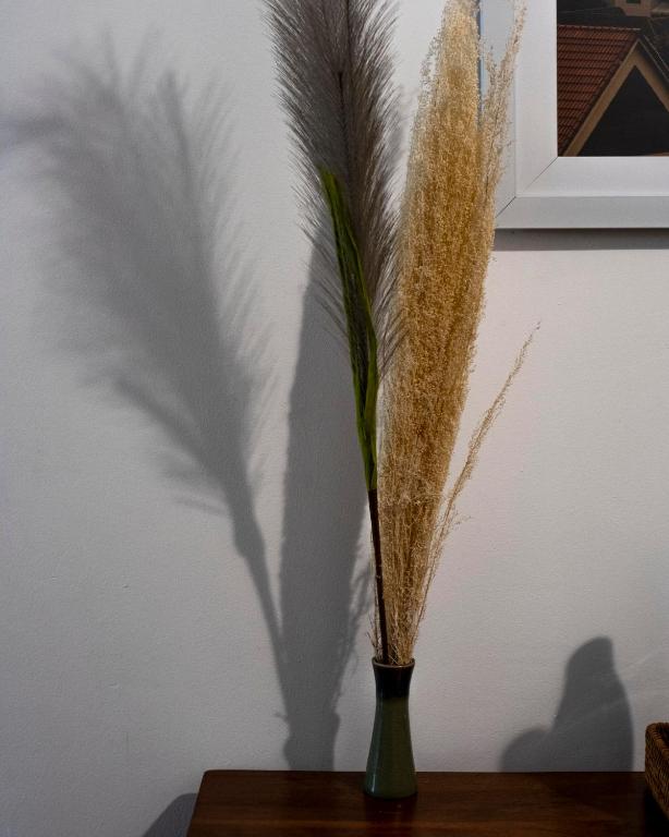 Fotografie z fotogalerie ubytování Jungle Addition v Phnompenhu
