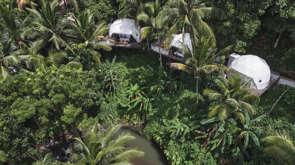 an aerial view of two tents in the jungle at Lintang Luku Tent Resort in Banyuwangi