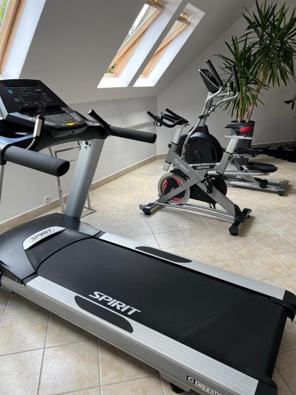 Posilňovňa alebo fitness centrum v ubytovaní Apartament Butorowy Kościelisko