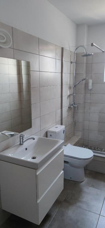 Apartament cu 3 camere - 一居室公寓