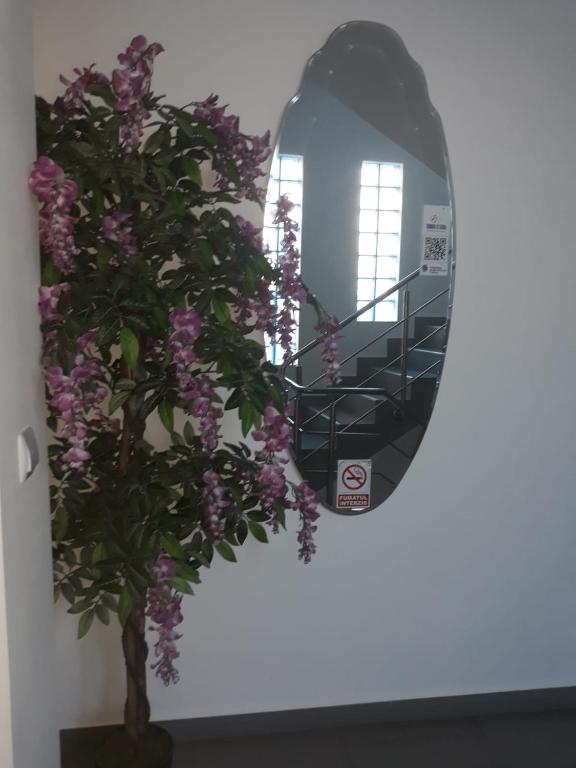 Fotografie z fotogalerie ubytování Vila Adriano v destinaci Turda