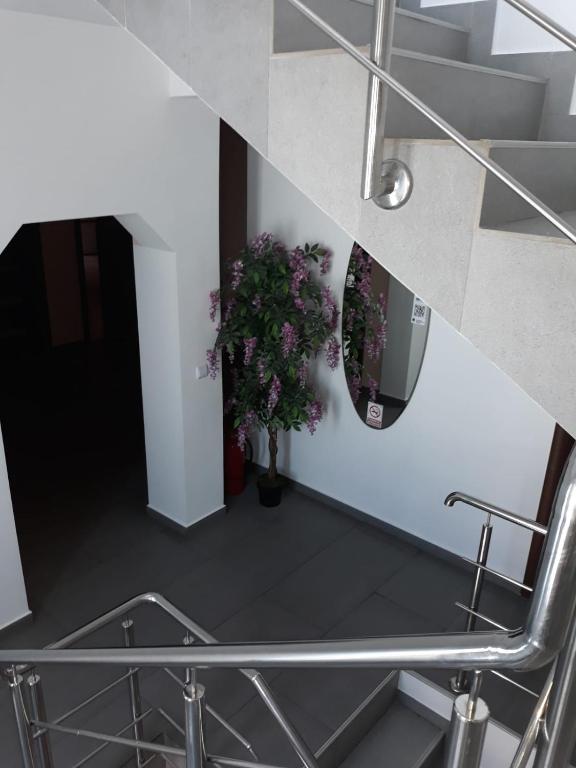 Fotografie z fotogalerie ubytování Vila Adriano v destinaci Turda